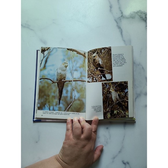 Cockatiel Handbook by Gerald R. Allen (1981, Hardcover) - Picture 7 of 10